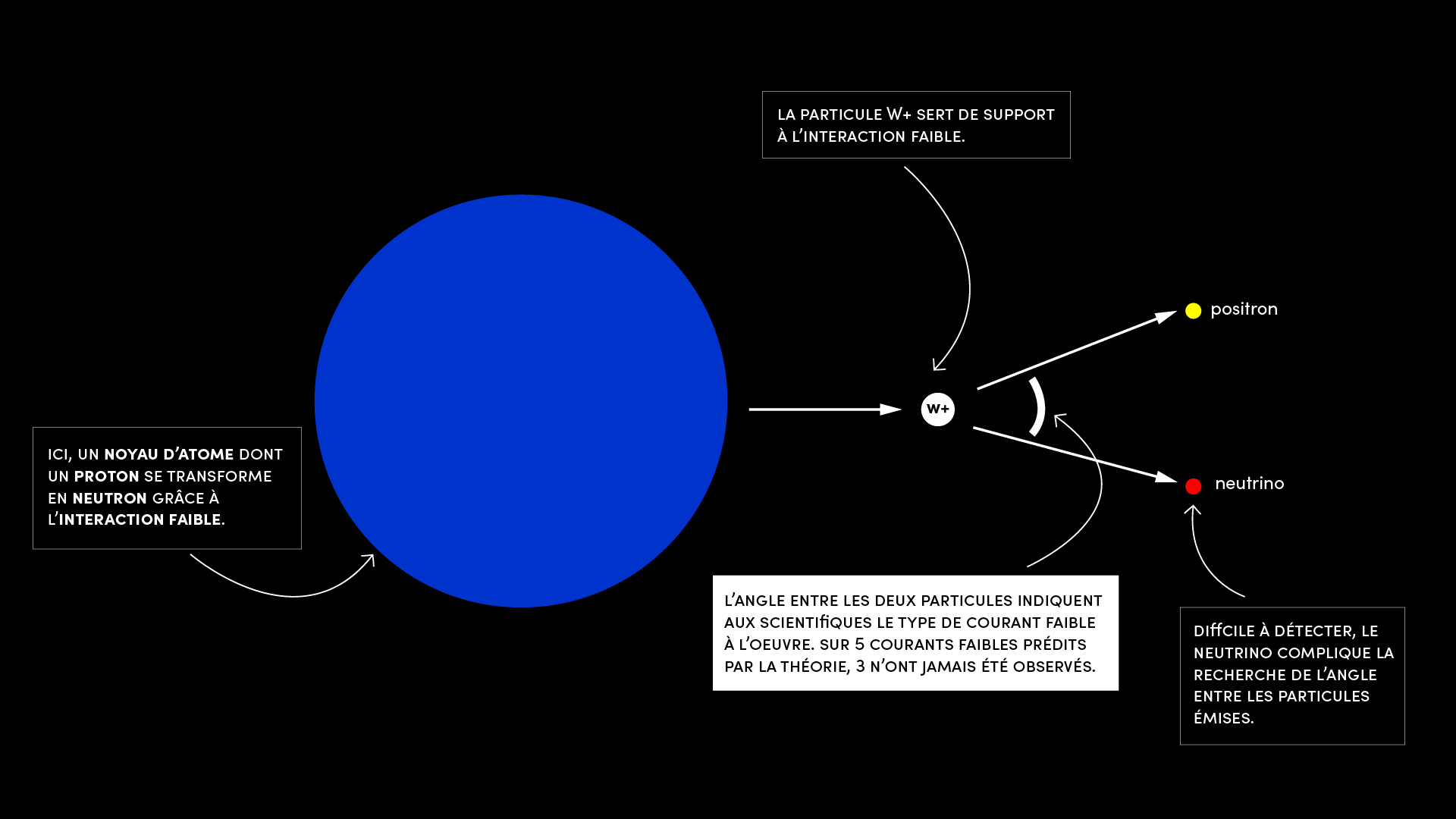 Pour observer les courants faibles exotiques, les scientifiques du projet WISArD décortiquent la désintégration bêta. Ce phénomène permet à un noyau d’atome de transformer un proton en neutron en émettant un positron et un neutrino. © Marie Delille