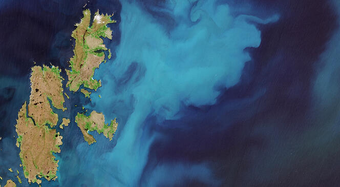Cette image satellite prise par Copernicus Sentinel- 2 (2021) montre une prolifération de phytoplancton (couleur turquoise) de type coccolithophores à l'est des îles Shetland en Écosse. Le phytoplancton pompe le carbone organique des eaux de surface vers l'océan profond.