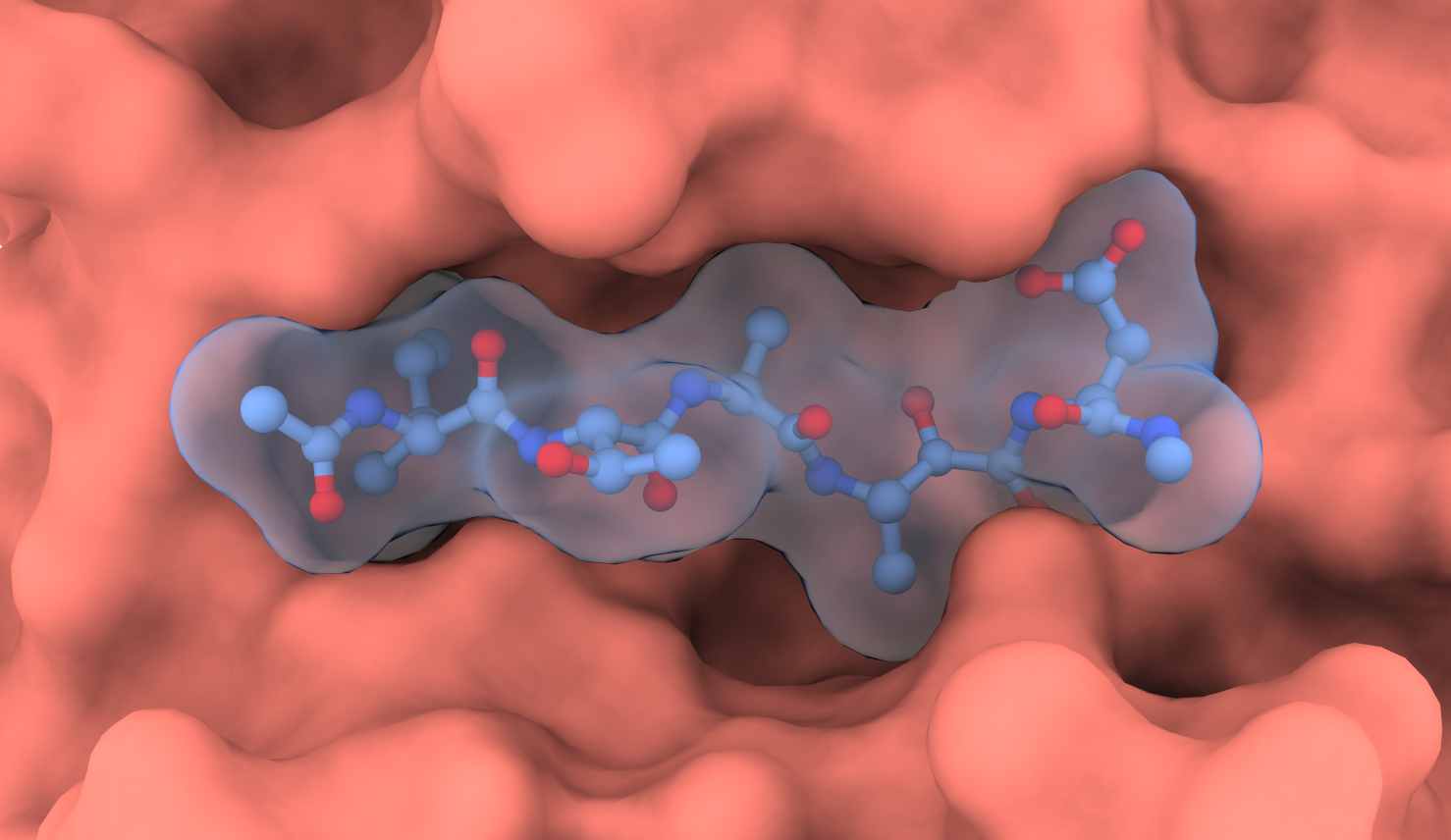 Structure d’un complexe SUB1/inhibiteur : Liaison d’un inhibiteur (batônnets bleu gris, boules rouges = oxygène, boules bleues = azote, avec en transparence la surface atomique) dans le site actif de SUB1 (surface atomique rose) de Plasmodium vivax. La structure tri-dimensionnelle de ce complexe a été résolue par cristallographie aux rayons X.