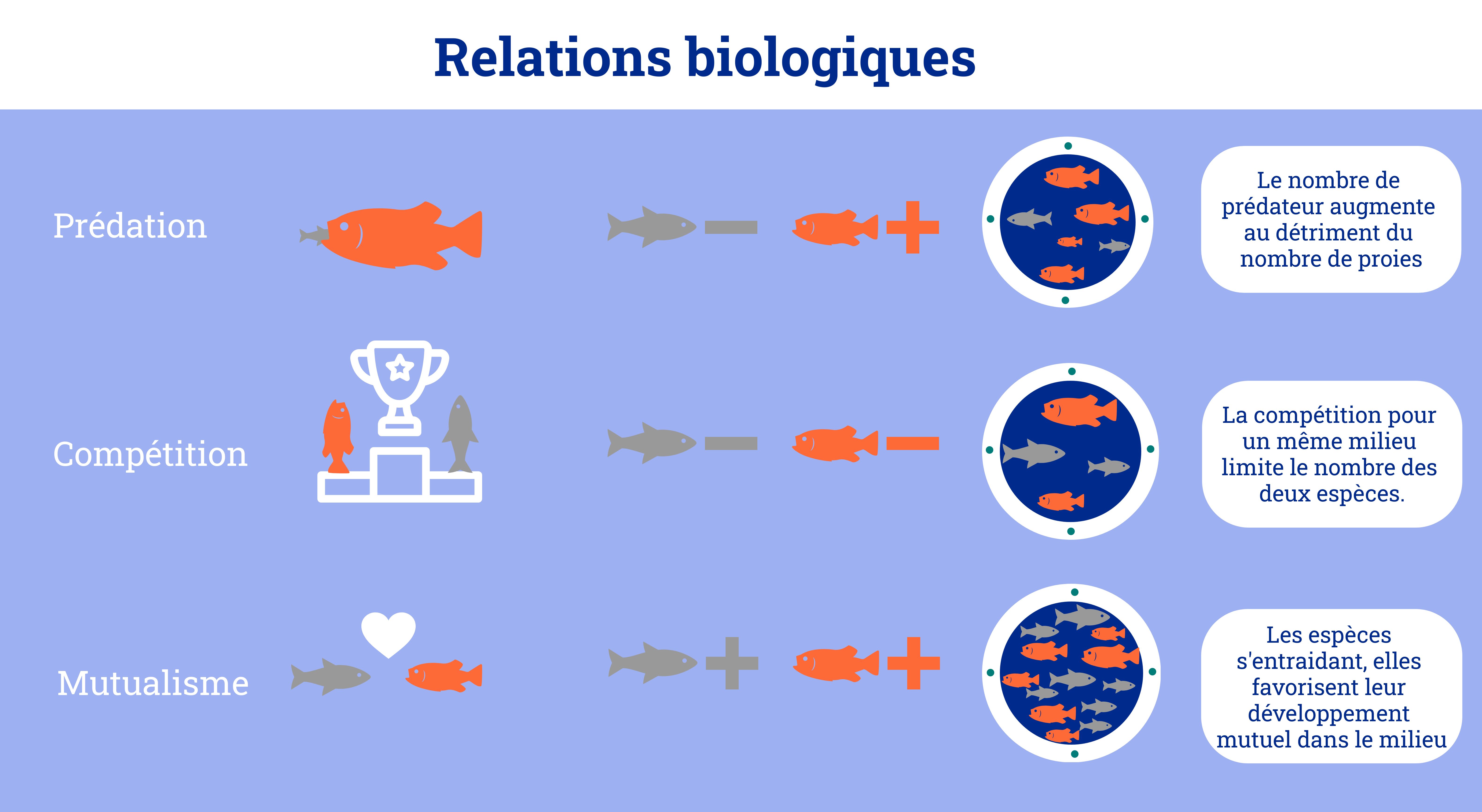 Infographie sur les interactions biologiques influant la pêche.Ce sont la prédation, la compétition et le mutualisme. 