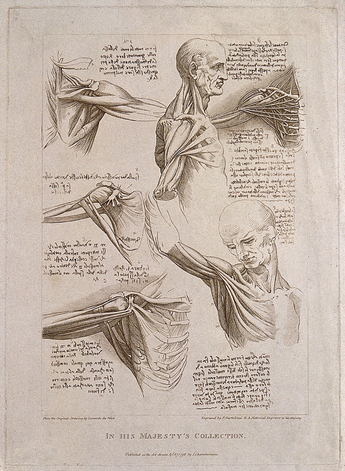 Gravure d’après Léonard de Vinci, 1796. Source Wellcome Collection. Public Domain Mark.