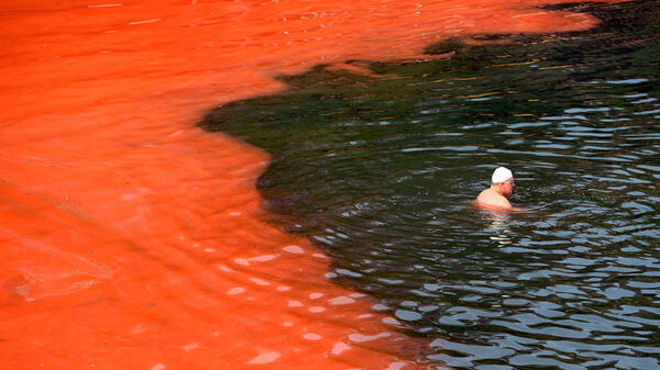 Un nageur arrêté par un bloom d’algues rouges (plage de Covelly, à Sydney, Australie) © William West / AFP