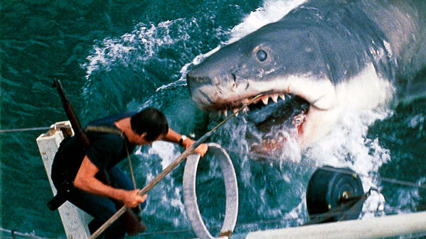 Image du film montrant le requin attaquant le bateau et le héros Martin Brody (Jaws, de S. Spielberg, 1975) © Universal - Zanuck-Brown / Collection ChristopheL