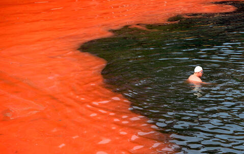 Un nageur arrêté par un bloom d’algues rouges (plage de Covelly, à Sydney, Australie) © William West / AFP