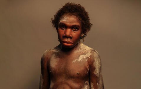 Reconstitution d’un Homo ergaster, « Turkana Boy » par Elisabeth Daynes.