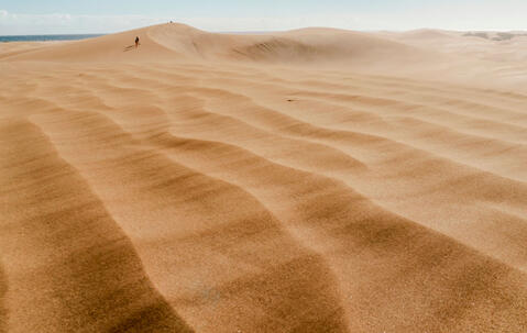 Plage de Maspalomas, île de Grande Canarie, Espagne © Sopotnicki/Shutterstock  