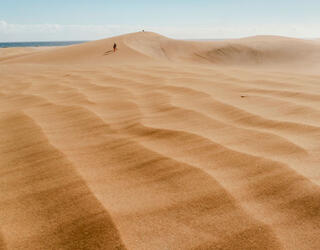 Plage de Maspalomas, île de Grande Canarie, Espagne © Sopotnicki/Shutterstock  
