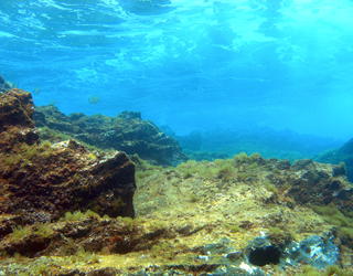 Image sous marine
