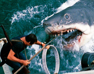 Image du film montrant le requin attaquant le bateau et le héros Martin Brody (Jaws, de S. Spielberg, 1975) © Universal - Zanuck-Brown / Collection ChristopheL