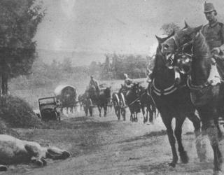 Chevaux et cavaliers autrichiens évitant un cadavre équin en 1914.