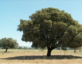 Visuel du film «Qui sème le vent récolte des données»