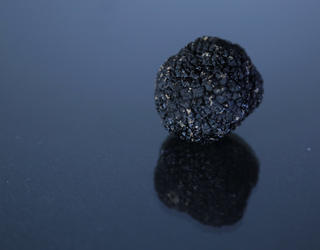 Truffe noire sur surface réfléchissante