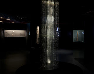 Exposition Persona