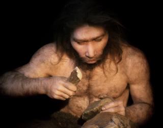 Homo Néanderthalensis