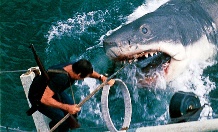 Image du film montrant le requin attaquant le bateau et le héros Martin Brody (Jaws, de S. Spielberg, 1975) © Universal - Zanuck-Brown / Collection ChristopheL