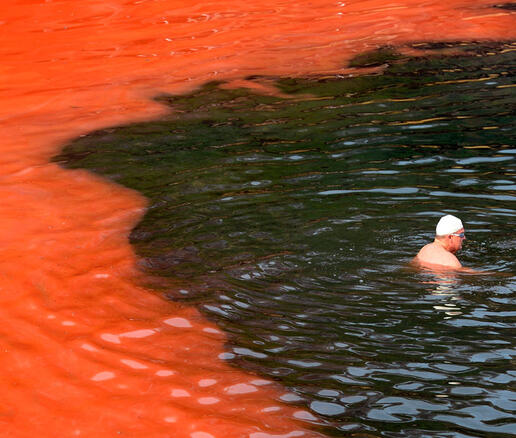 Un nageur arrêté par un bloom d’algues rouges (plage de Covelly, à Sydney, Australie) © William West / AFP