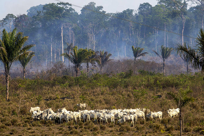©Joao Laet / AFP