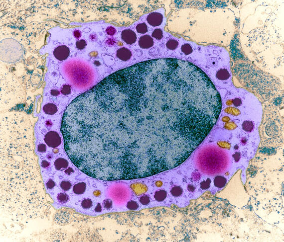 ©Science Photo Library © Science Photo Library