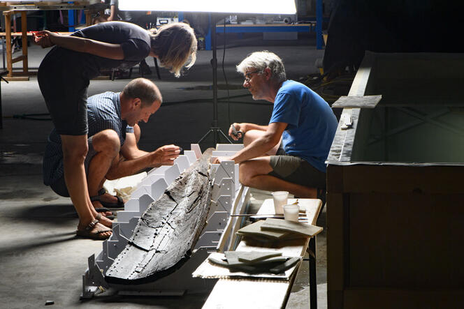 © Loïc Damelet / CNRS CCJ