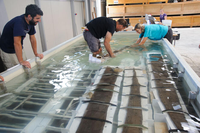 © Loïc Damelet / CNRS CCJ