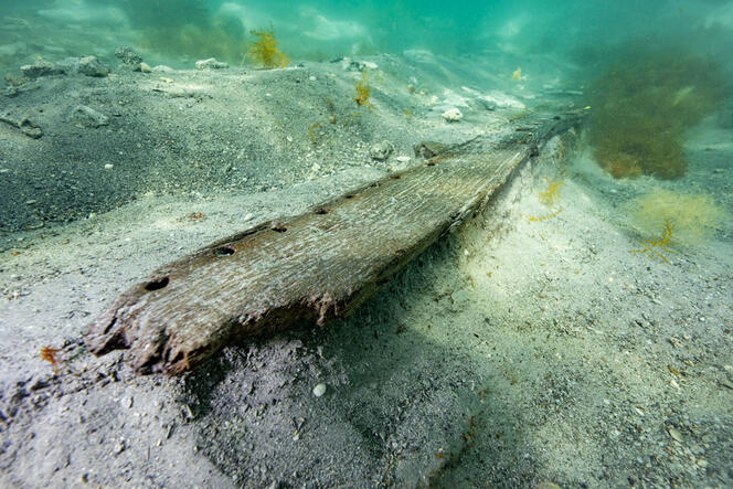 © Philippe Soubias / CNRS CCJ