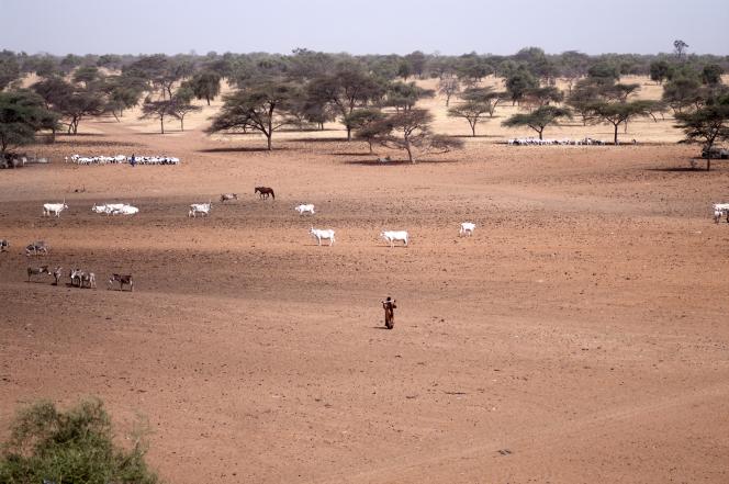 Saison sèche au Nord du Sénégal