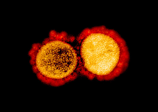 virus sars cov 2