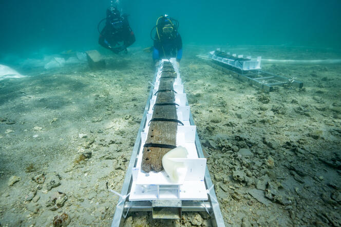 © Philippe Soubias / CNRS CCJ