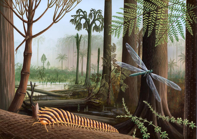 Illustration d’une forêt au Carbonifère (il y a 359 à 299 millions d’années), avec un myriapode «Arthropleura» et une libellule «Meganeura». © Richard Bizley / SPL