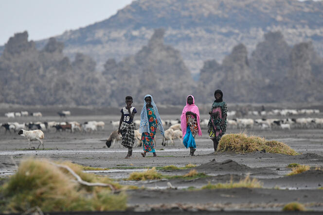 Habitants  © Éric Chaumillon / LIENSs