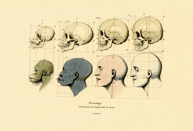 Classifications scientifiques du XIX è siècle, céphalomètre.