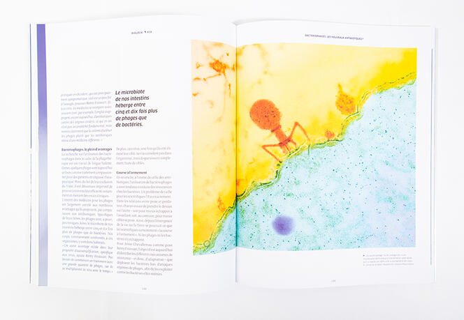 ©Cyril Frésillon/CNRS images