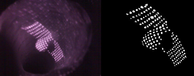 Une capsule pour cartographier l'intestin | CNRS Le journal