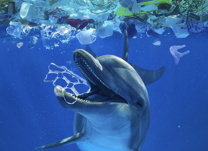 ©Image composite/Paulo de Oliveira/ Biosphoto