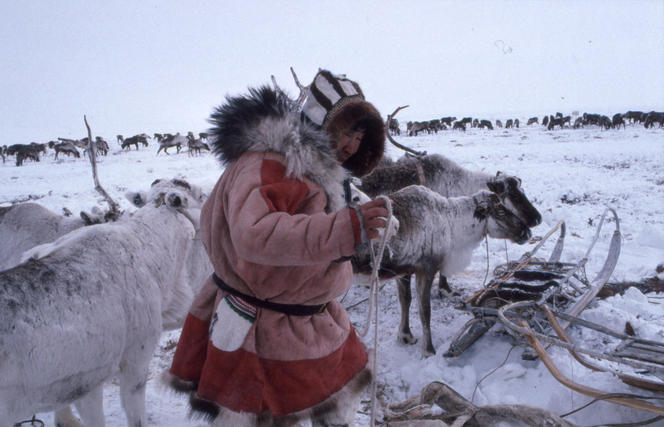 Eleveur de rennes dans le Grand nord sibérien
