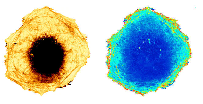 ©Frank LAFONT / Sébastien JANEL / CMPI-CIIL / CNRS photothèque