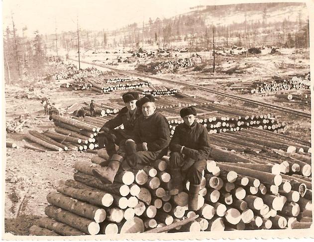 Goulag, travailleurs forestiers