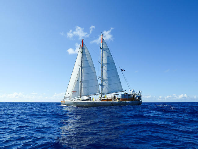 ©M. BARDY/Tara Expeditions Foundation