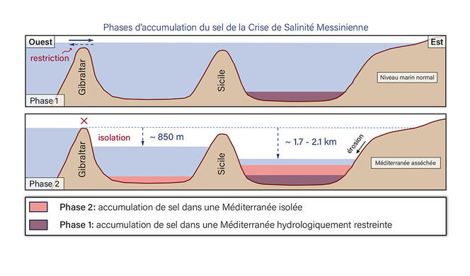©Aloisi et al. 2024/ Nature Communications