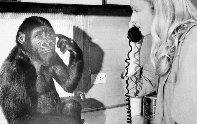 ©Bettmann/Getty Images