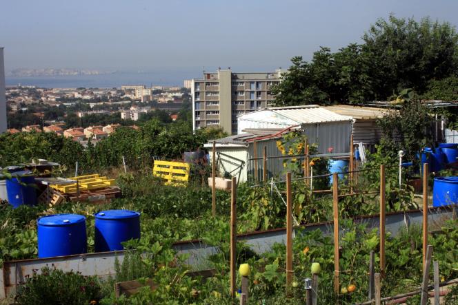 Jardins ouvriers du Castellas à Marseille