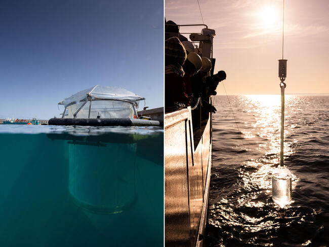 À gauche, photo d'un mésocosme utilisé pour étudier l’augmentation de l’alcalinité océanique dans le fjord de Kiel, en Allemagne. À droite, photo d'une collecte d’eau dans la mer Baltique pour afin d’étudier l’effet de l’augmentation de l’alcalinité sur les communautés planctoniques dans un cadre comparable (même protocole) à l'échelle mondiale.