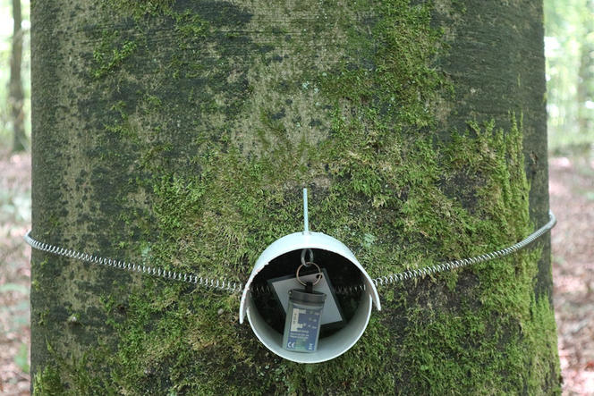 ©Eva Gril / Edysan (CNRS – Univ. Picardie Jules-Verne)