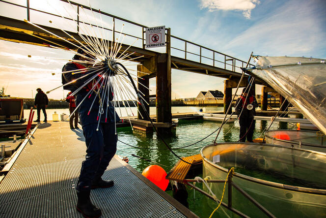 photo montrant le Dr Leila Kittu avec ce qu’on appelle une « araignée », un dispositif permettant de répartir uniformément des liquides, en l'occurrence des solutions alcalines, dans les colonnes d’eau des mésocosmes.