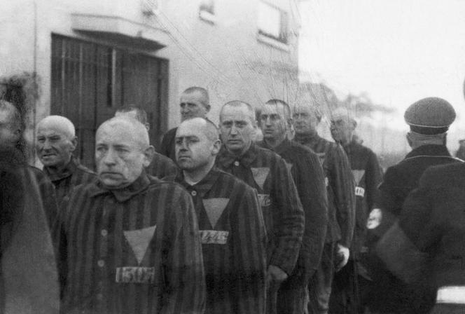 Prisonniers dans le camp de concentration de Sachsenhausen
