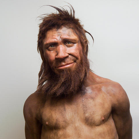 Continent de découverte du neandertalien