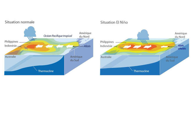 Phénomène El Nino