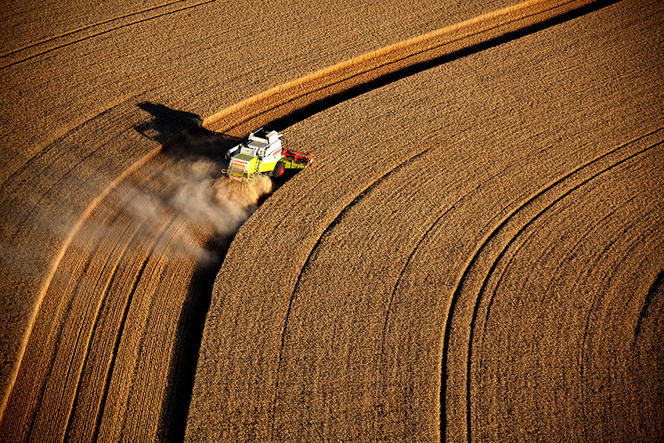 ©Laurent GRANDGUILLOT/REA