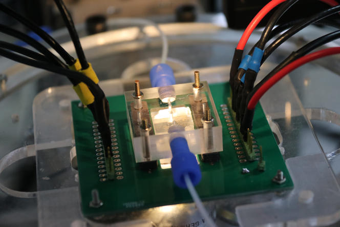 ©S. Quarroz-FEMTO-ST/CNRS