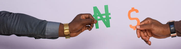 Taux de change : quelle politique pour l'Afrique subsaharienne ?